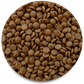 Biomaxcota Alimento para Perro Cachorro